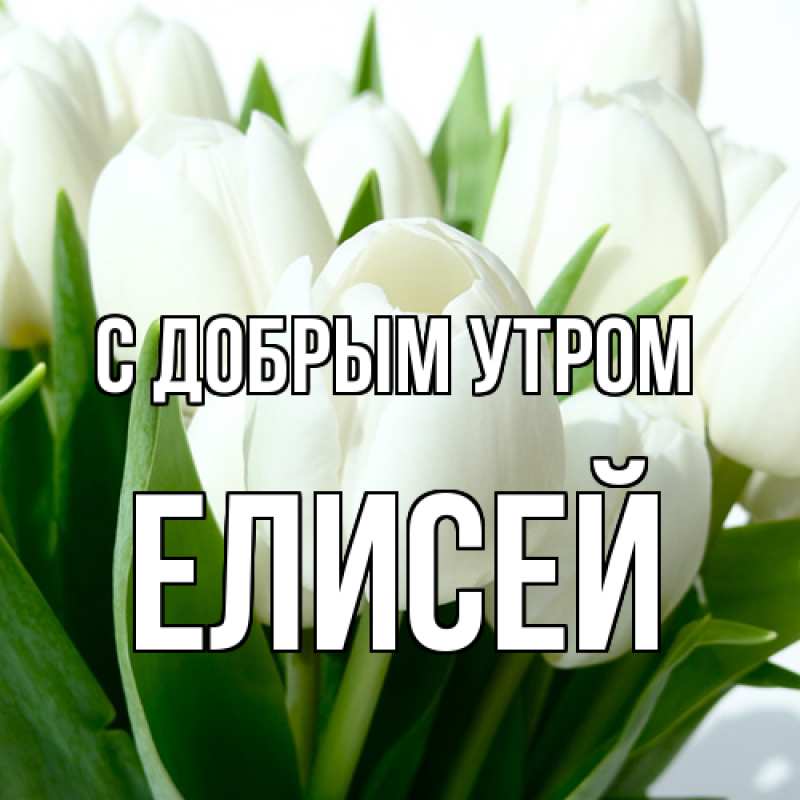Картинка С добрым утром, Елисей
