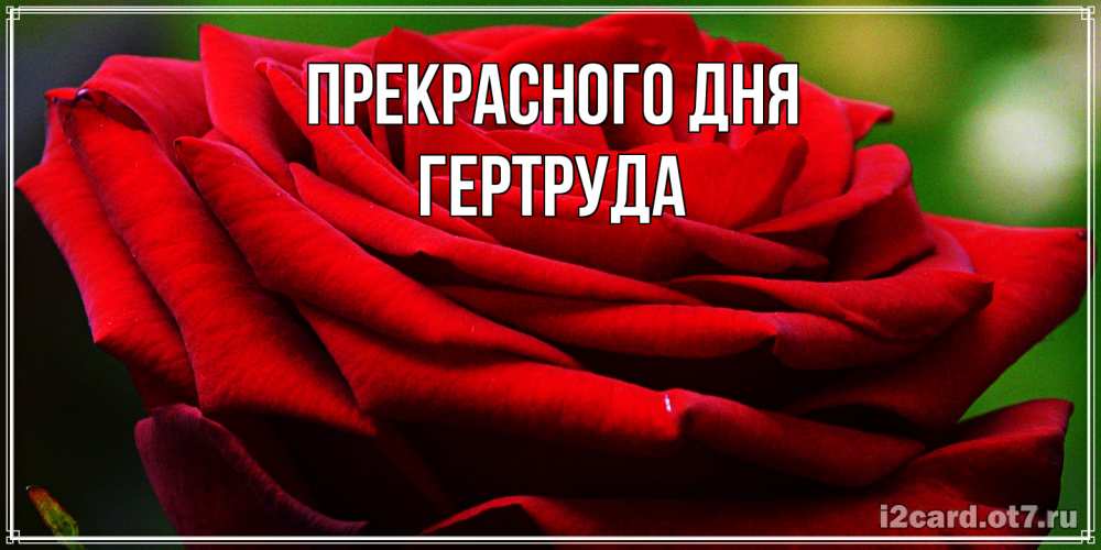 Открытка  с именем. Гертруда, Прекрасного дня  