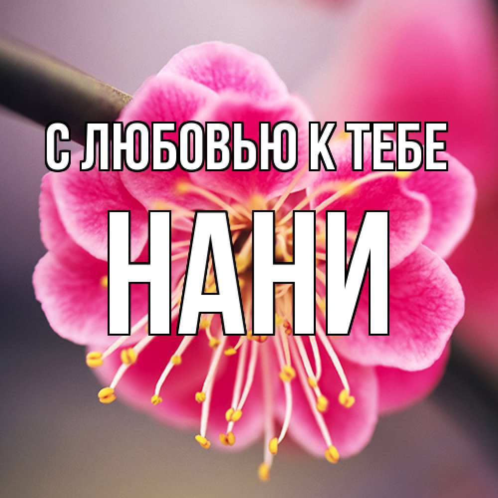 Открытка  с именем. Нани, С любовью к тебе  