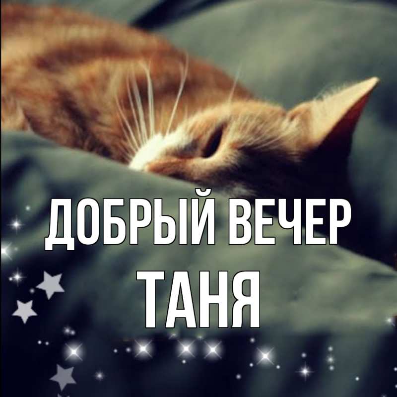 Картинка Добрый вечер, Таня