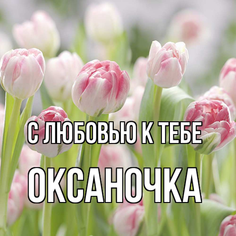 Открытка  с именем. ОКСАНОЧКА, С любовью к тебе  