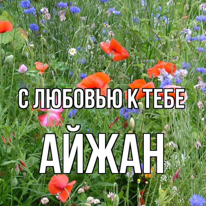Картинка С любовью к тебе, Айжан