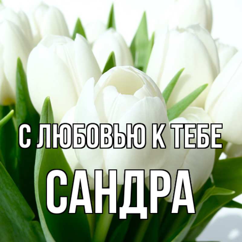 Картинка С любовью к тебе, Сандра