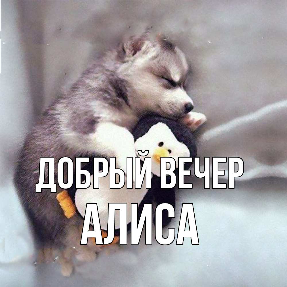 Открытка  с именем. Алиса, Добрый вечер  