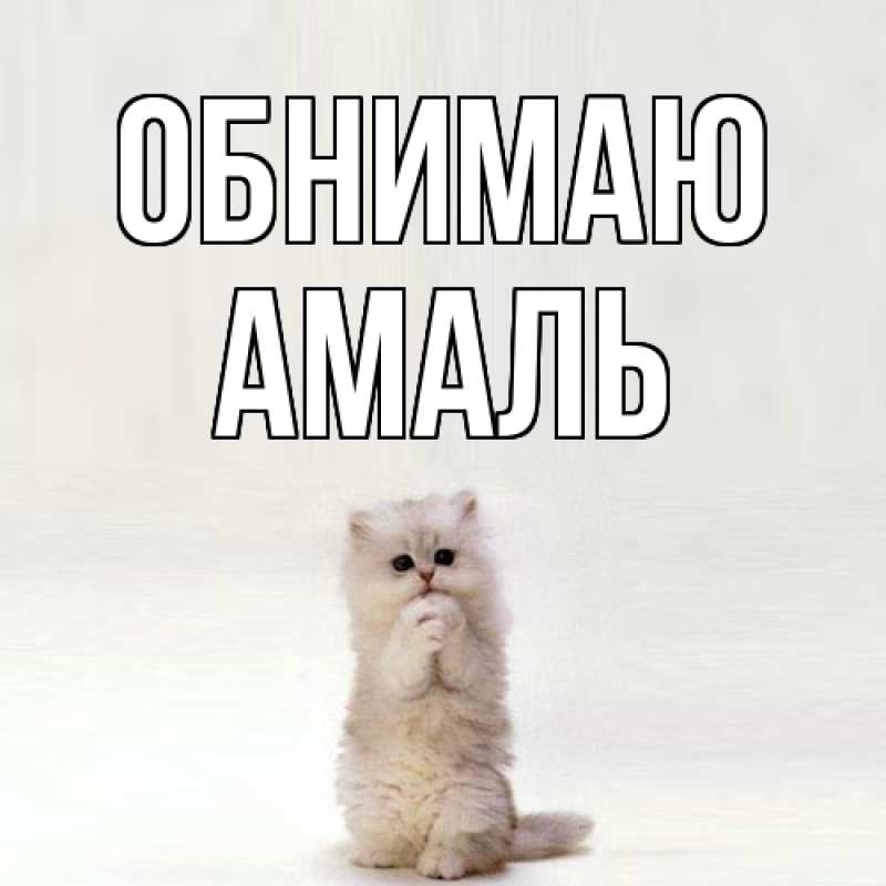 Картинка Обнимаю, Амаль