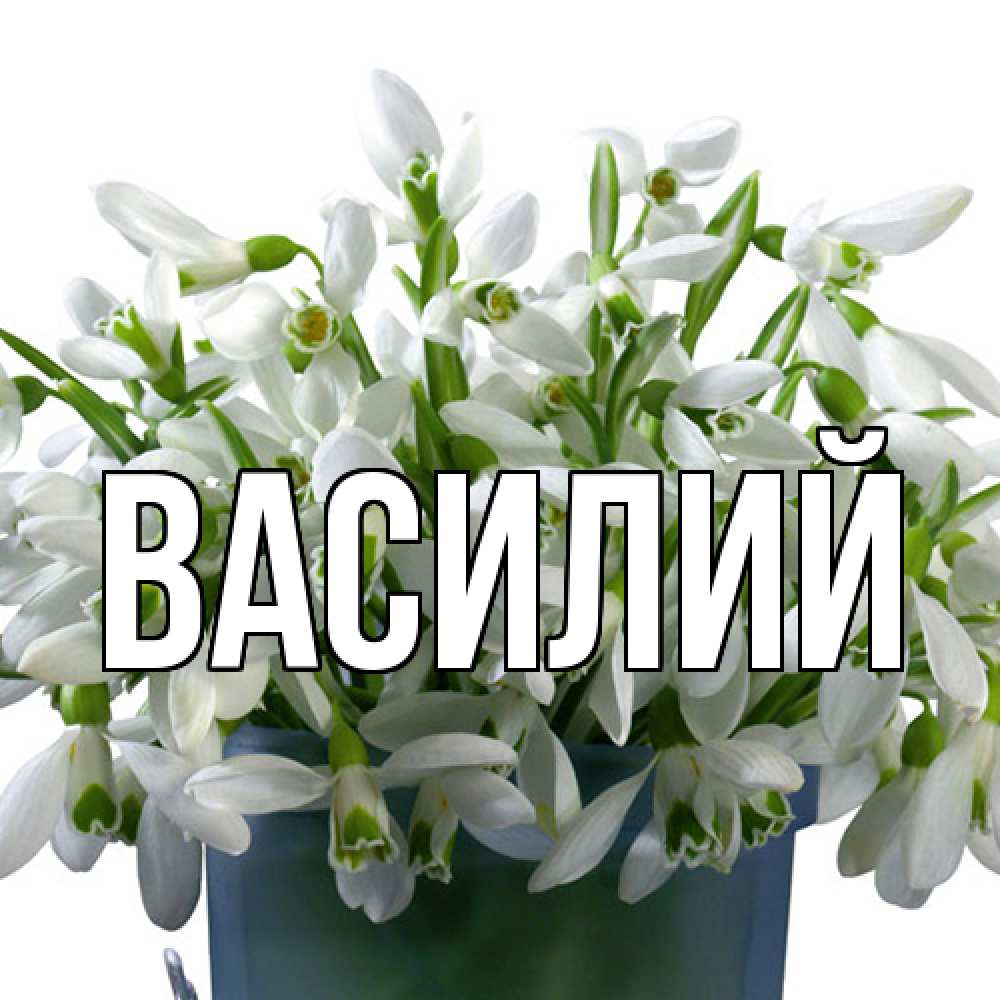 Открытка  с именем. Василий, Главная  