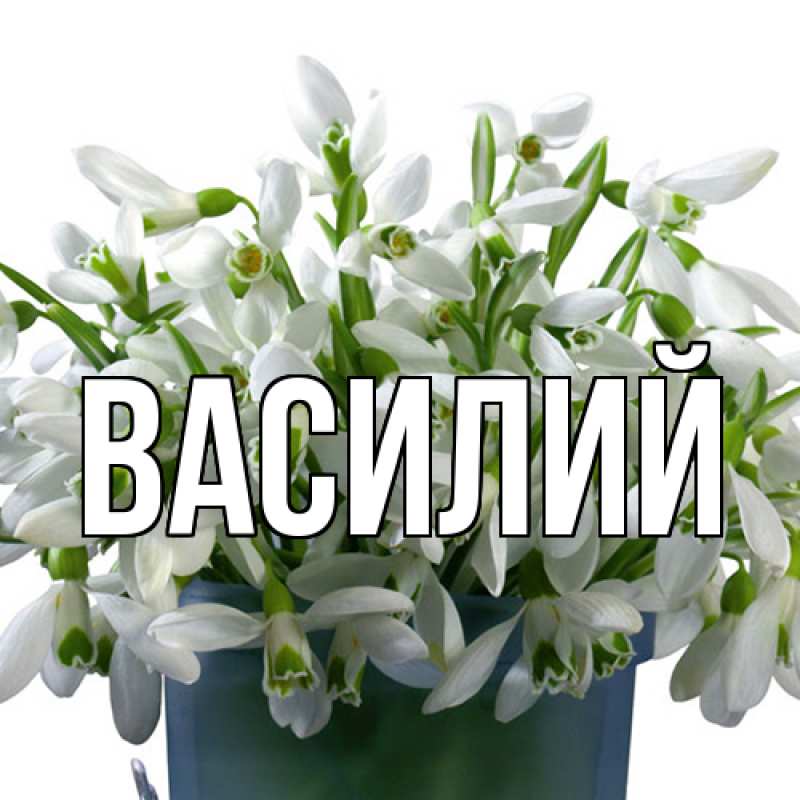 Картинка  с именем , Василий