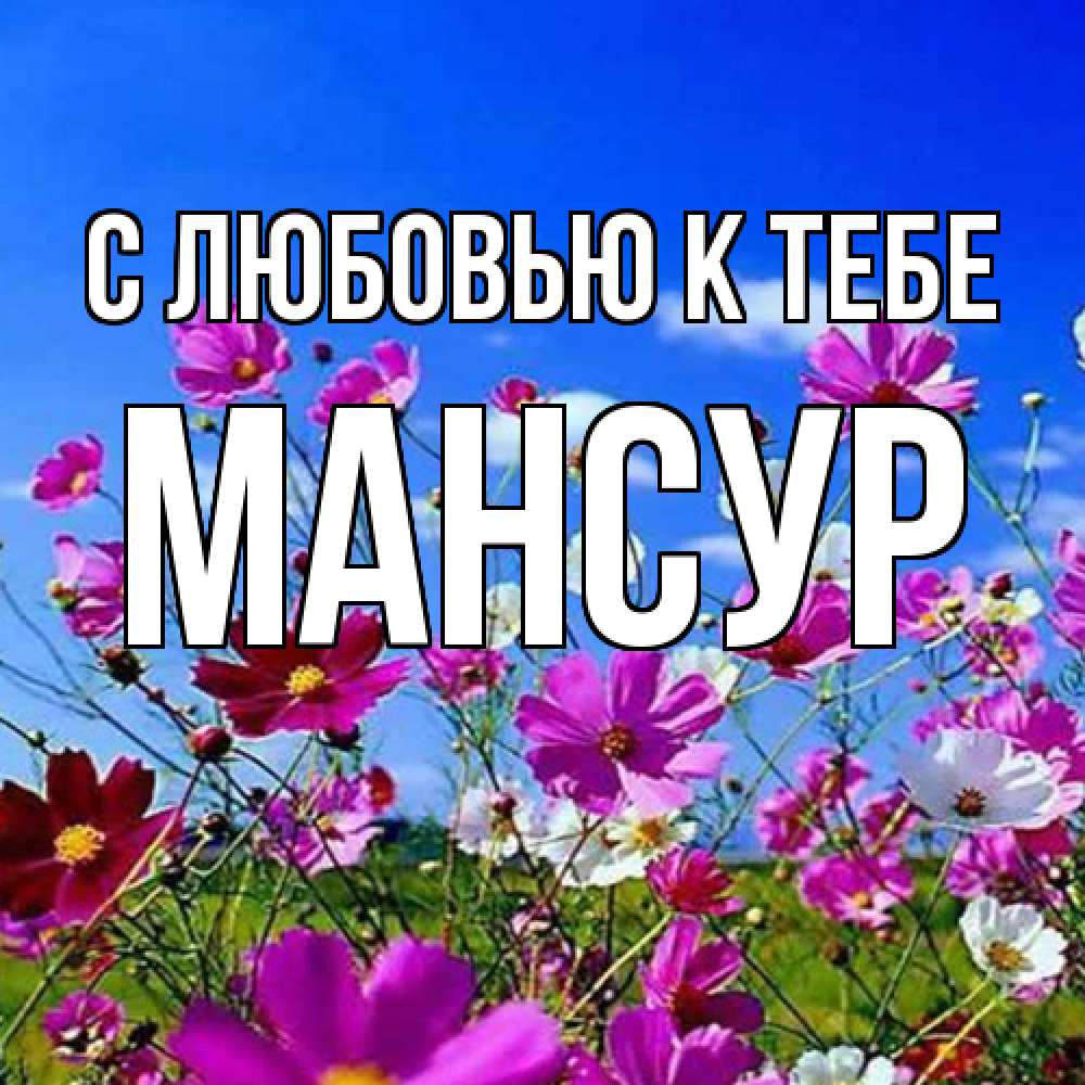 Открытка  с именем. Мансур, С любовью к тебе  