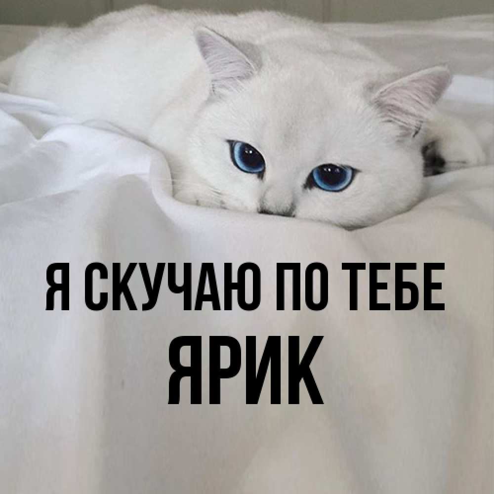 Открытка  с именем. Ярик, Я скучаю по тебе  