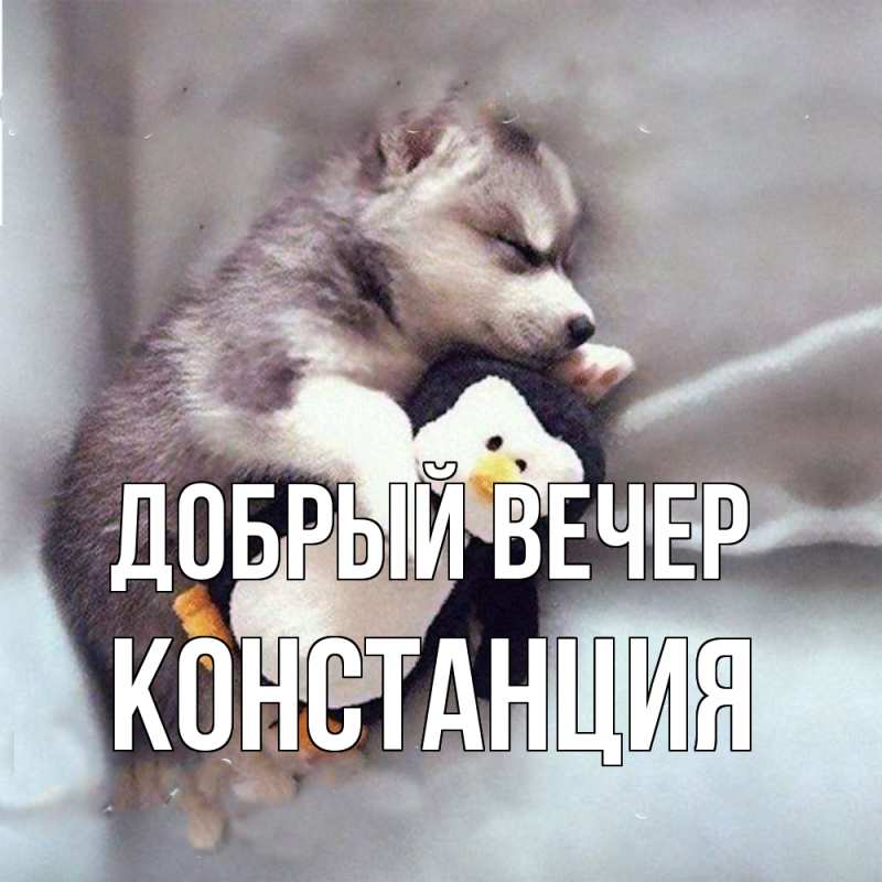 Картинка Добрый вечер, Констанция