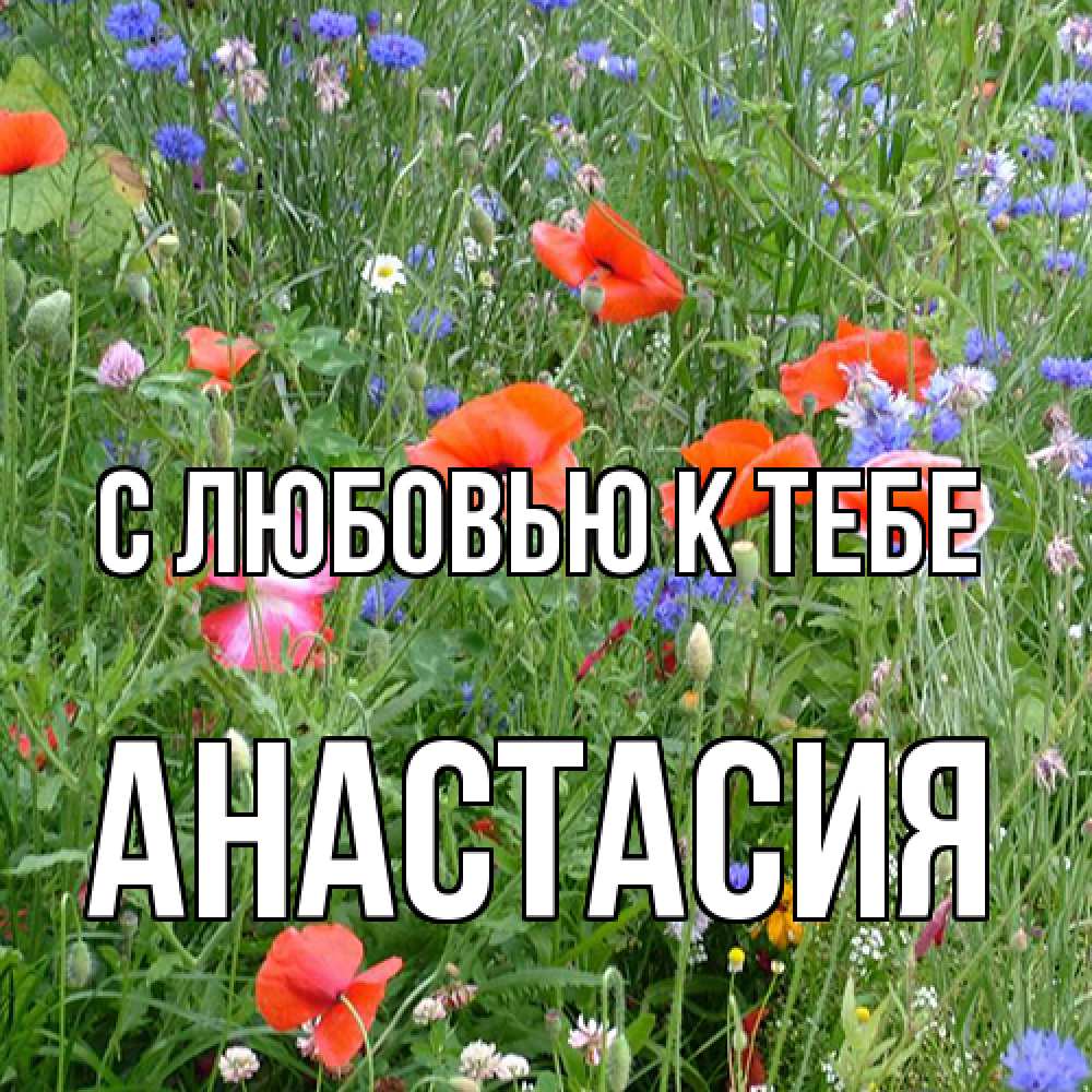 Открытка  с именем. Анастасия, С любовью к тебе  