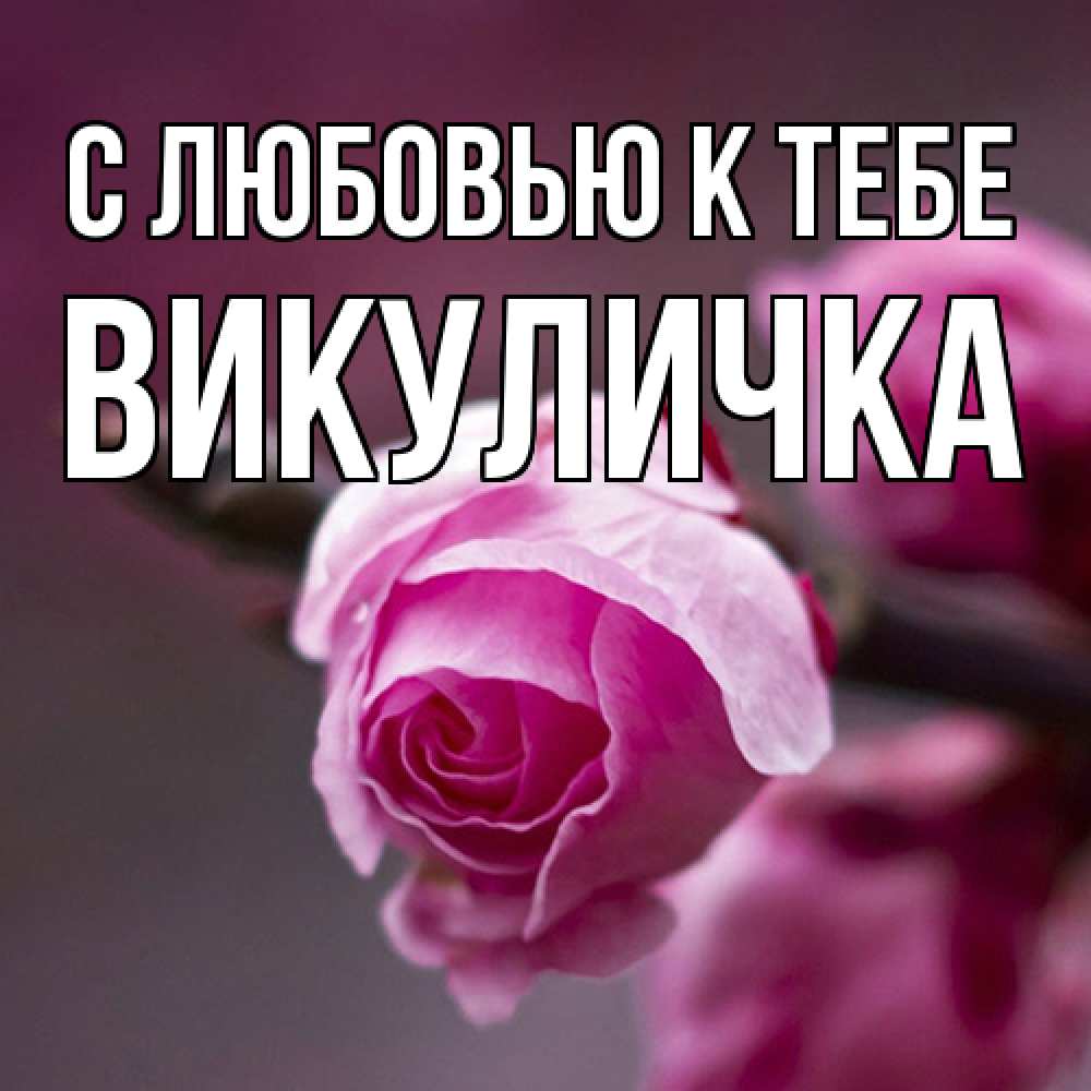 Открытка  с именем. Викуличка, С любовью к тебе  