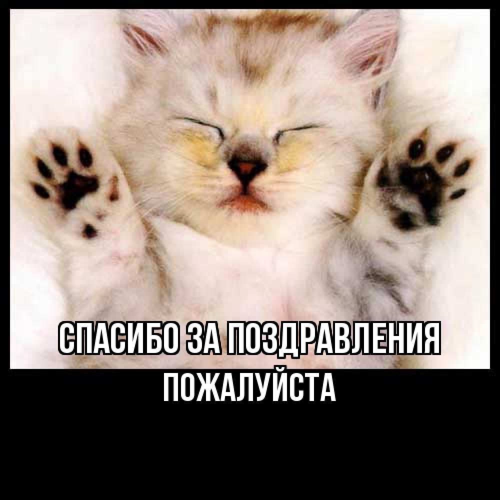 Открытка  с именем. Пожалуйста, Спасибо за поздравления  