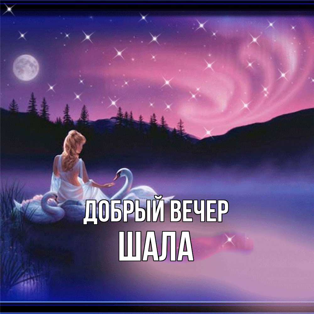 Открытка  с именем. Шала, Добрый вечер  