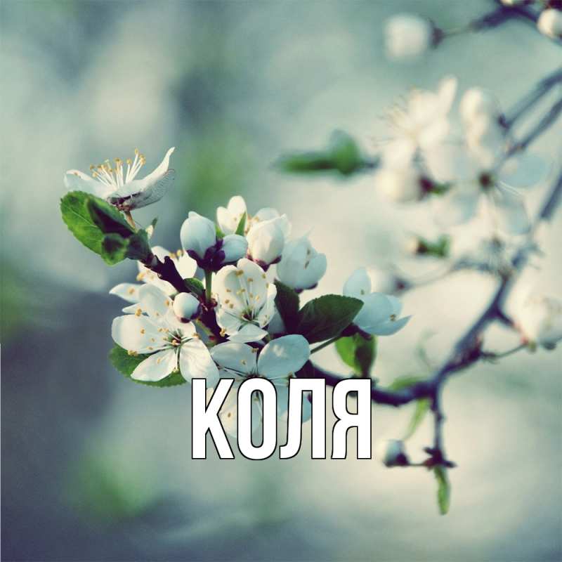 Картинка  с именем , коля