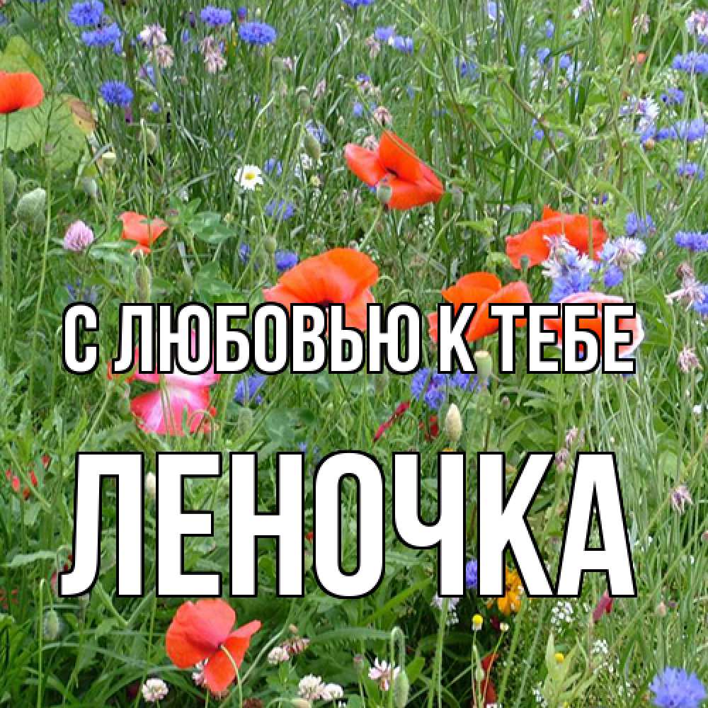 Открытка  с именем. ЛЕНОЧКА, С любовью к тебе  