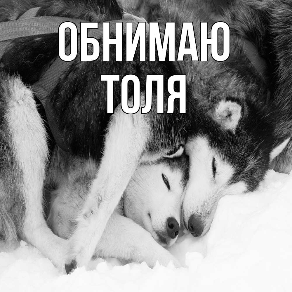 Открытка  с именем. ТОЛЯ, Обнимаю  