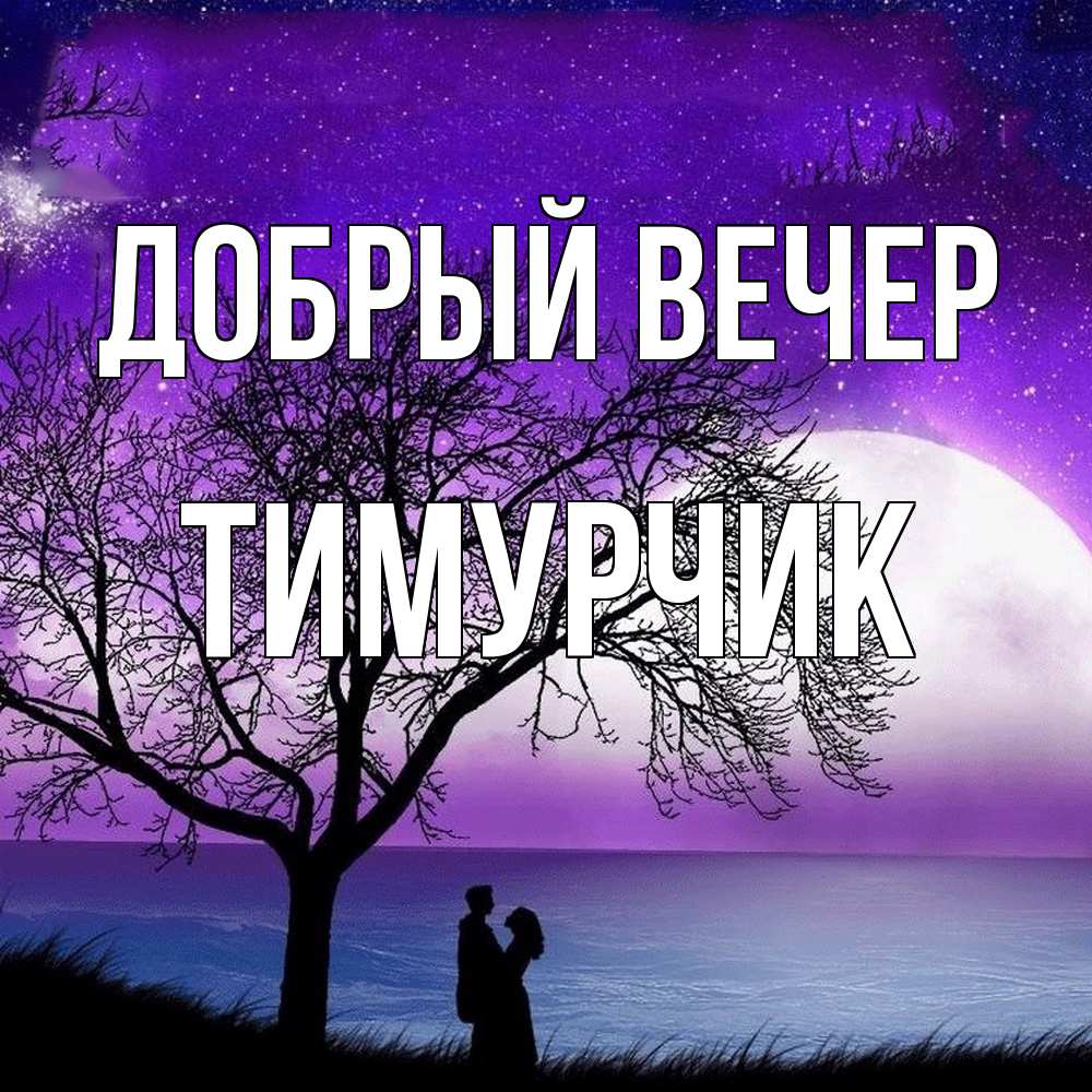 Открытка  с именем. Тимурчик, Добрый вечер  