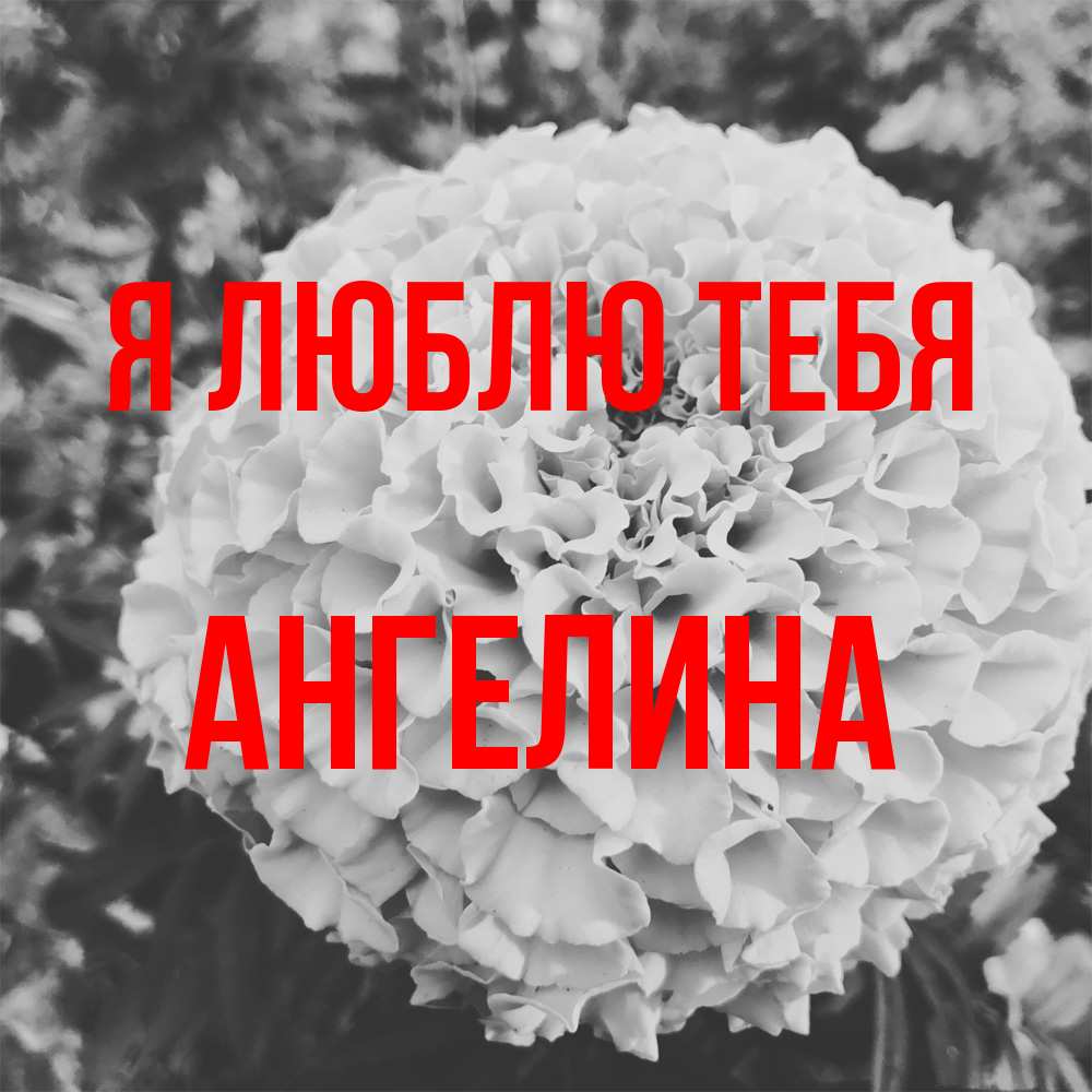 Открытка  с именем. Ангелина, Я люблю тебя  