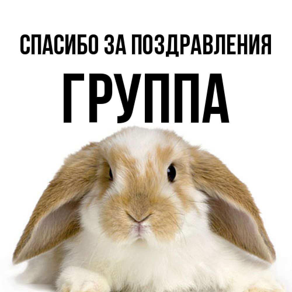 Открытка  с именем. Группа, Спасибо за поздравления  