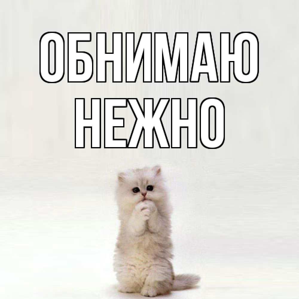 Открытка  с именем. Нежно, Обнимаю  
