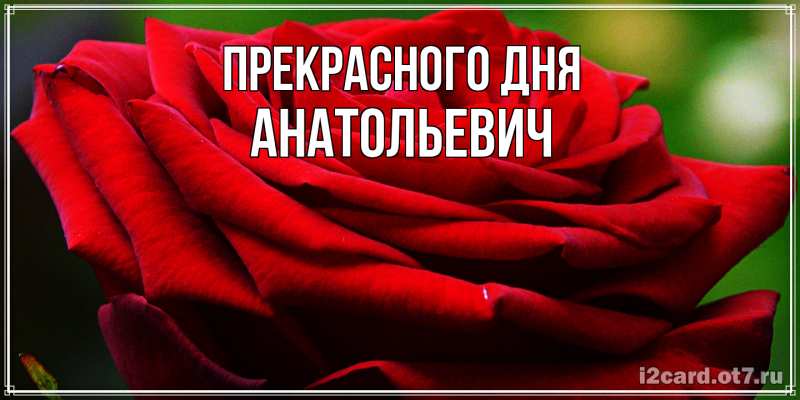Картинка Прекрасного дня, Анатольевич