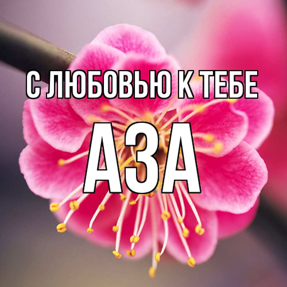 Открытка  с именем. Аза, С любовью к тебе  