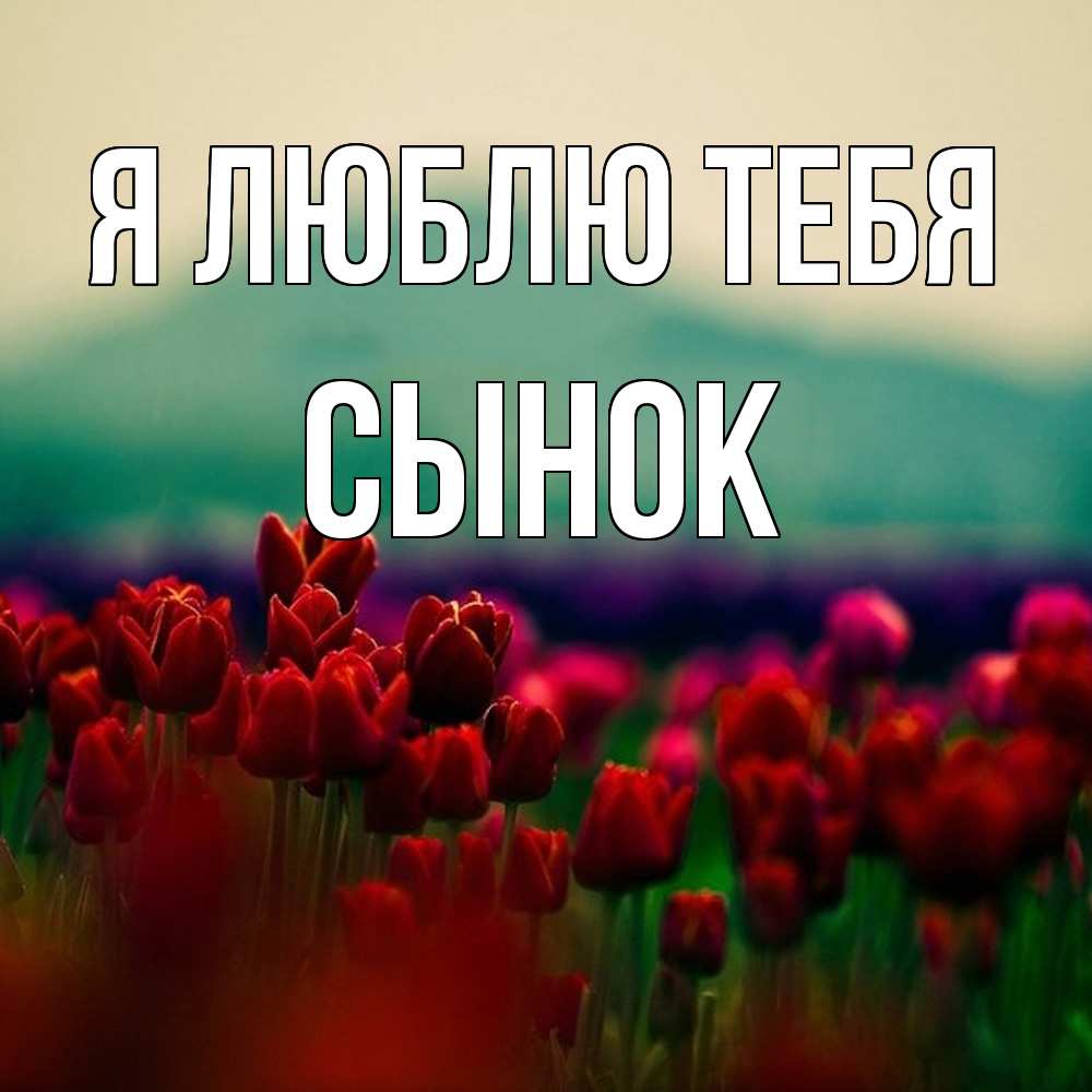 Открытка  с именем. Сынок, Я люблю тебя  