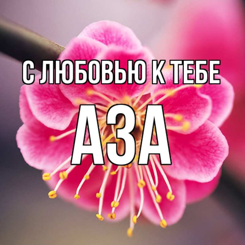 Картинка С любовью к тебе, Аза
