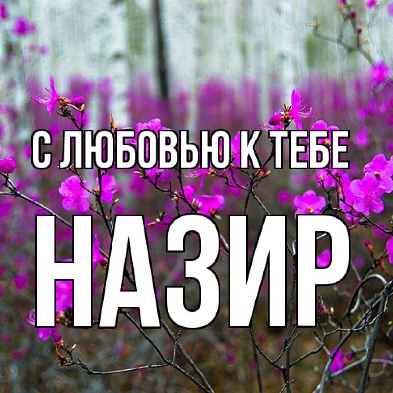 Картинка С любовью к тебе, Назир