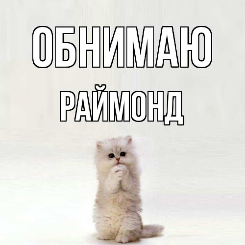 Картинка Обнимаю, Раймонд