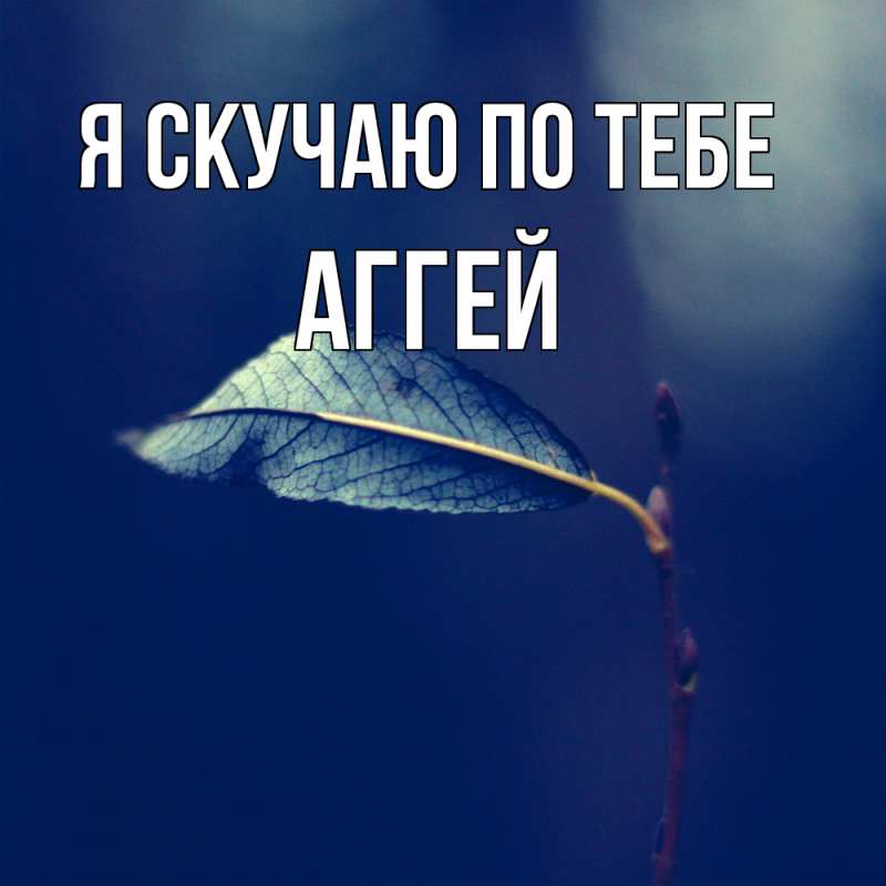 Картинка Я скучаю по тебе, Аггей