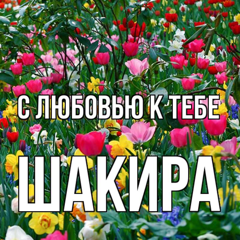 Картинка С любовью к тебе, Шакира