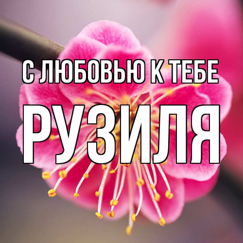 Открытка  с именем. Рузиля, С любовью к тебе  