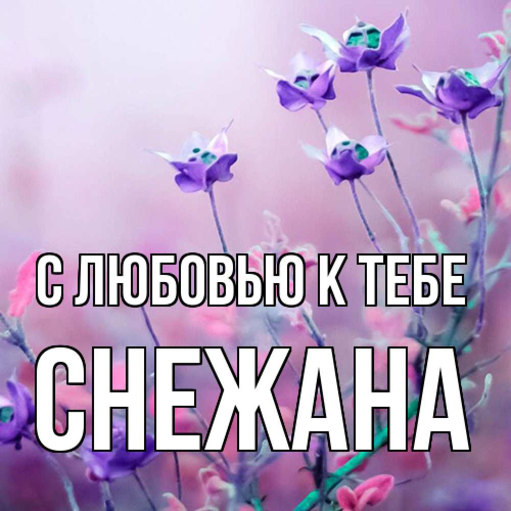 Открытка  с именем. Снежана, С любовью к тебе  