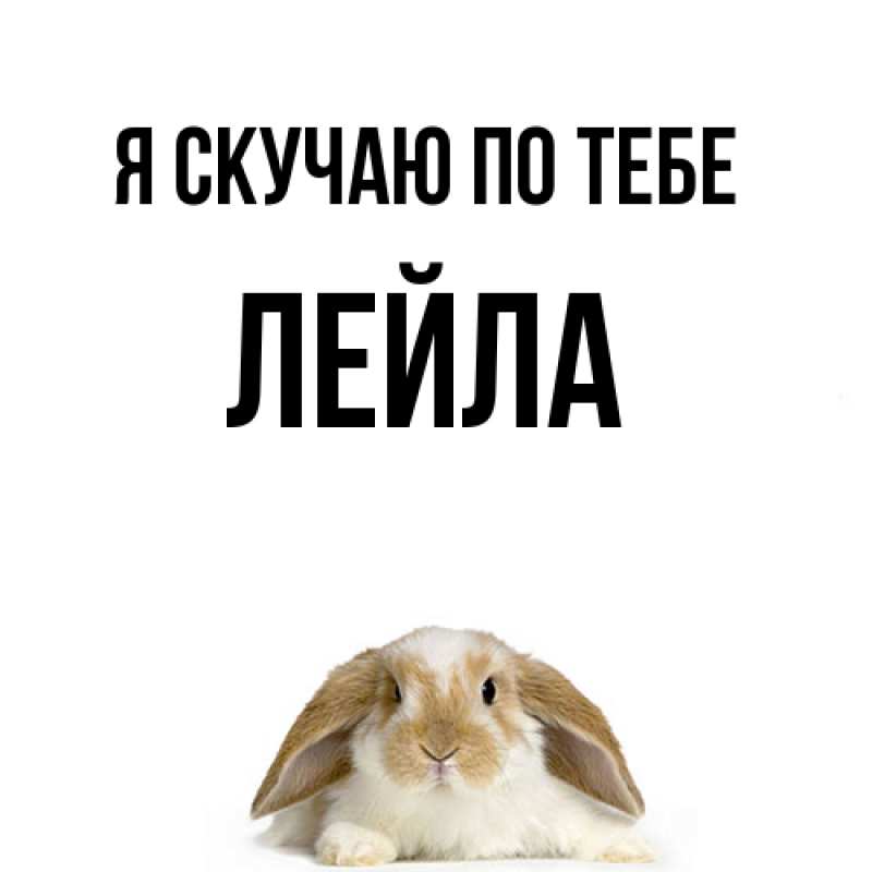 Картинка Я скучаю по тебе, Лейла