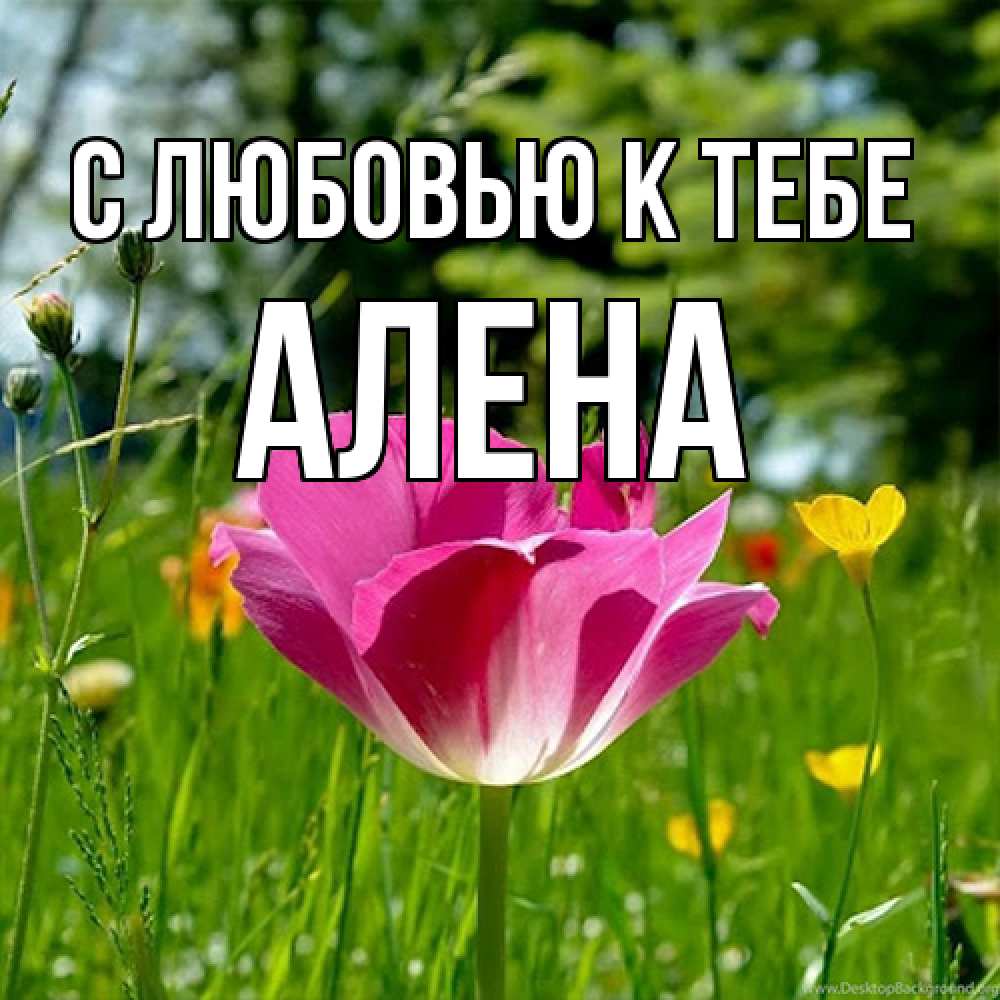 Открытка  с именем. Алена, С любовью к тебе  