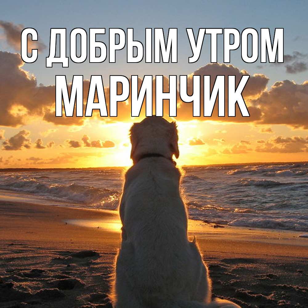 Открытка  с именем. Маринчик, С добрым утром  
