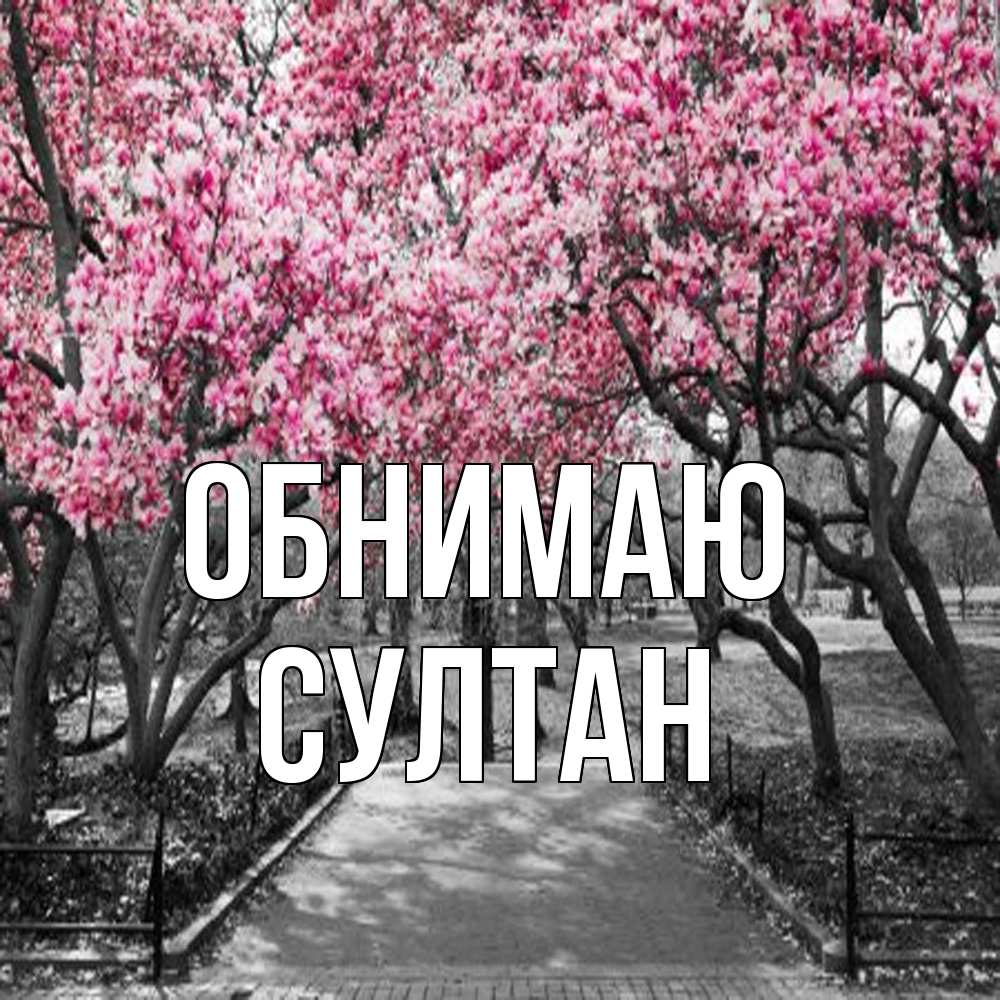 Открытка  с именем. Султан, Обнимаю  