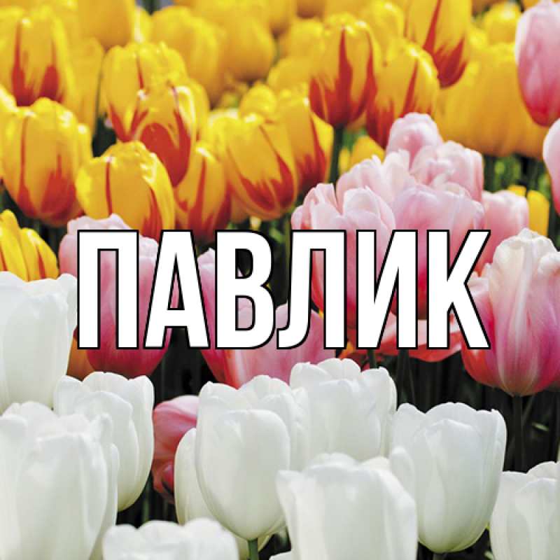 Картинка  с именем , Павлик