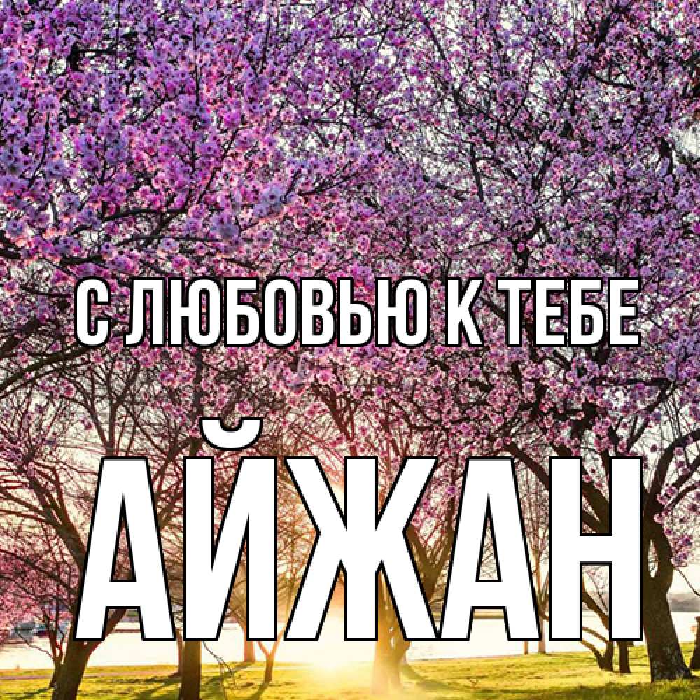 Открытка  с именем. Айжан, С любовью к тебе  