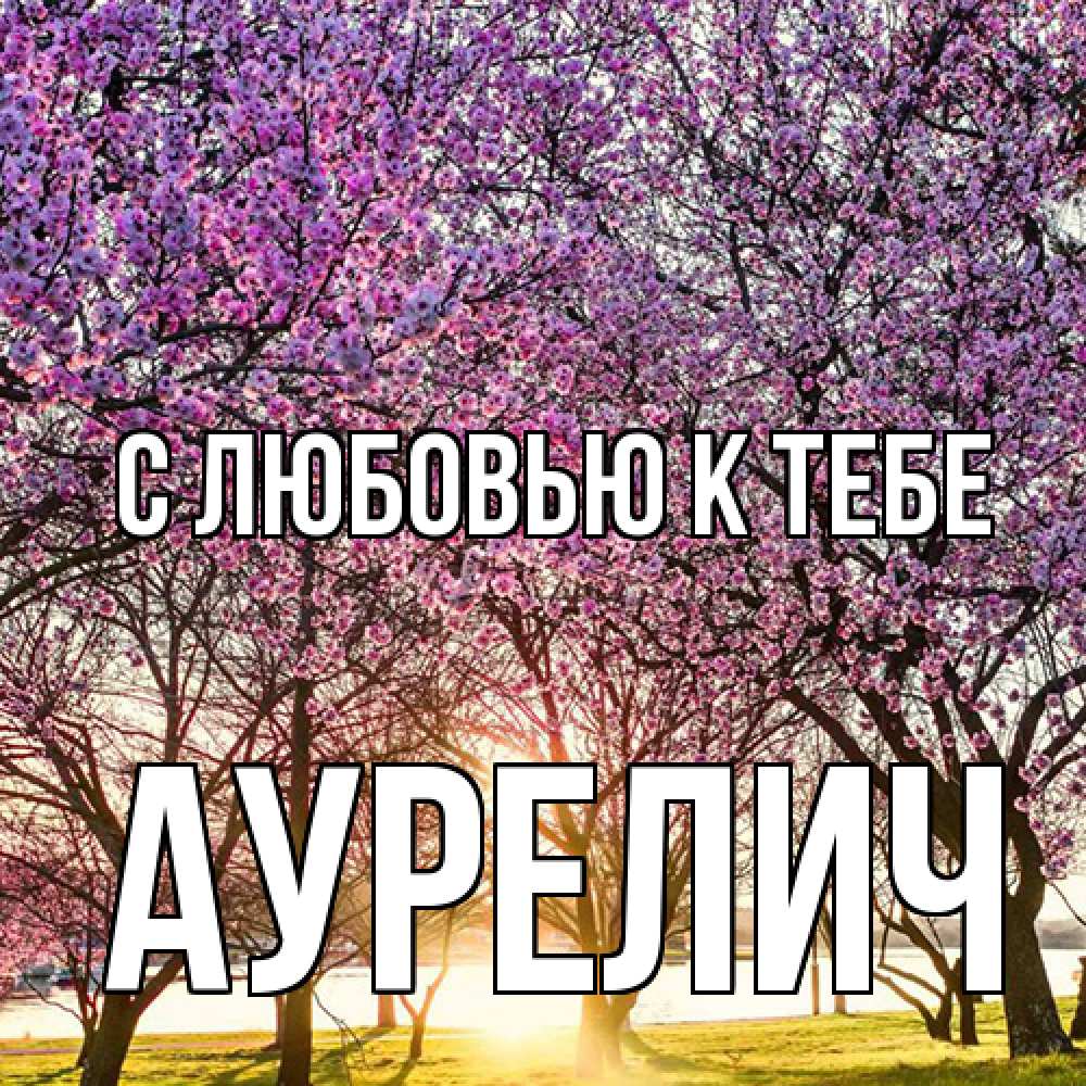 Открытка  с именем. Аурелич, С любовью к тебе  