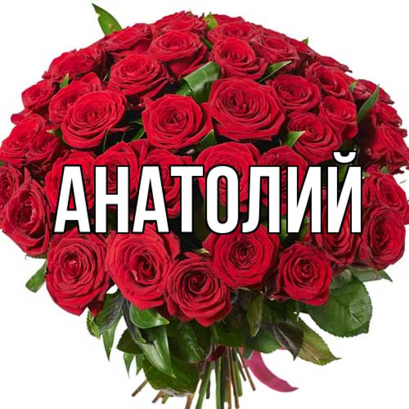 Картинка  с именем , Анатолий