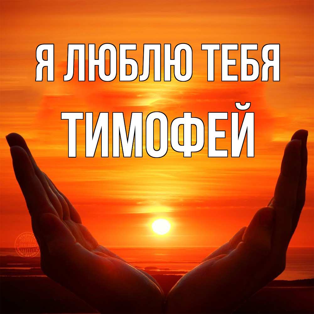 Открытка  с именем. Тимофей, Я люблю тебя  