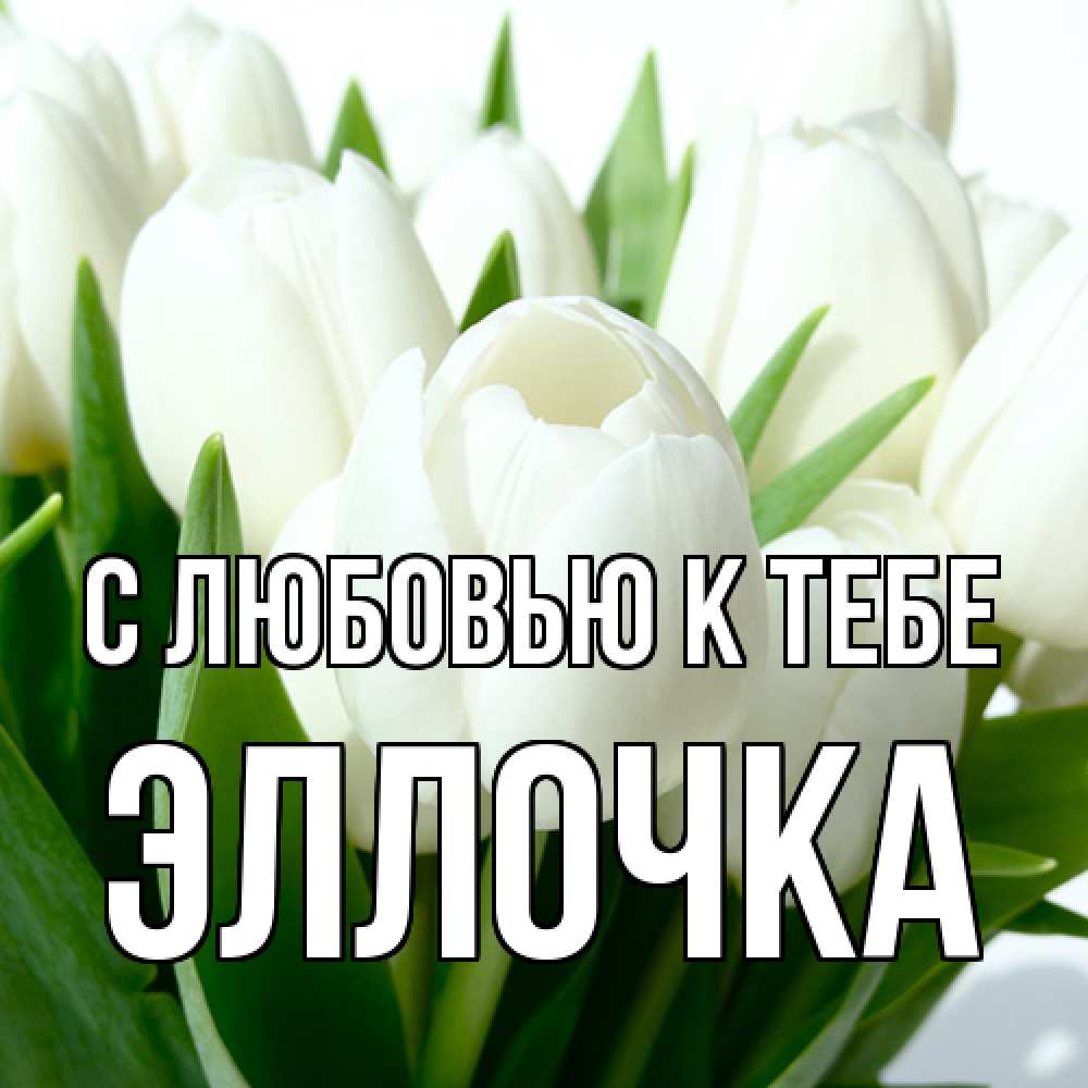Открытка  с именем. Эллочка, С любовью к тебе  