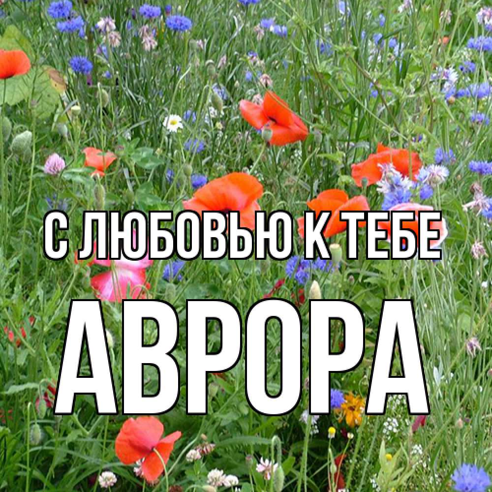 Открытка  с именем. Аврора, С любовью к тебе  