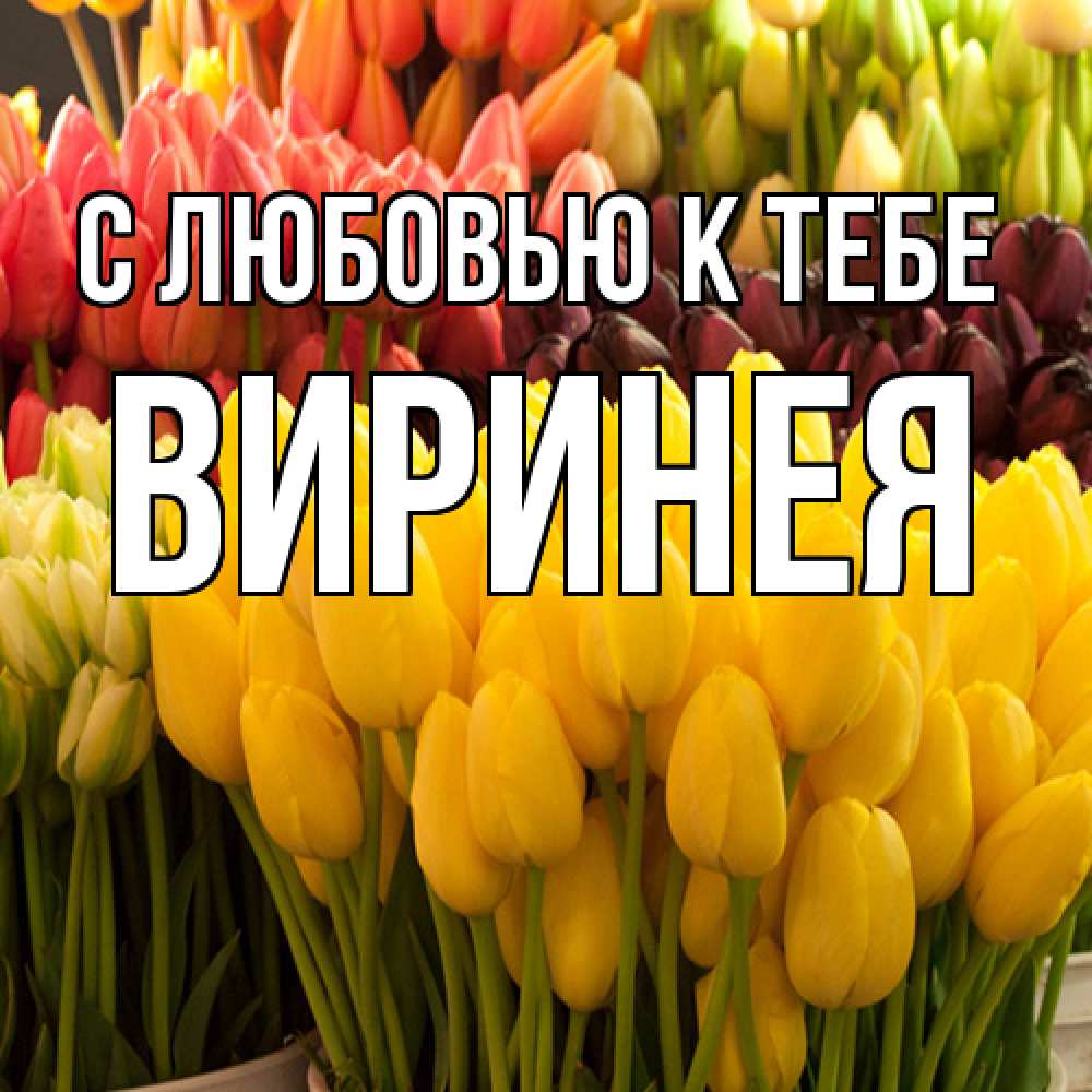 Открытка  с именем. Виринея, С любовью к тебе  