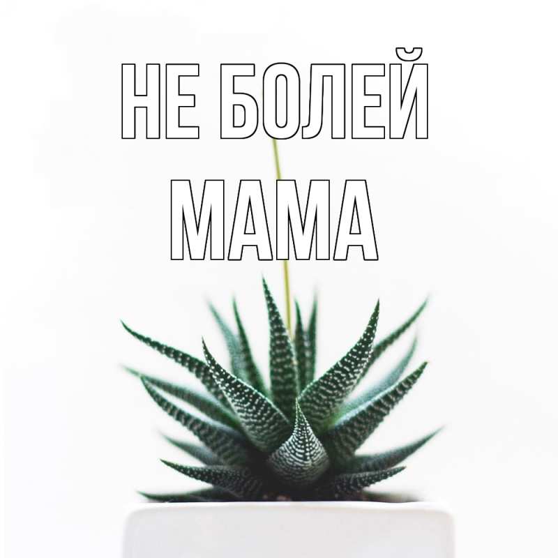 Картинка Не болей, Мама