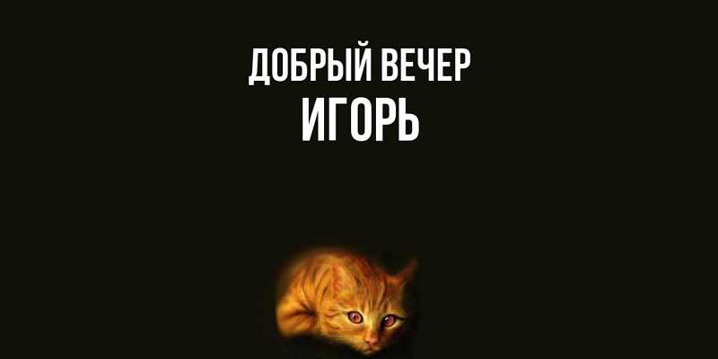 Картинка Добрый вечер, Игорь