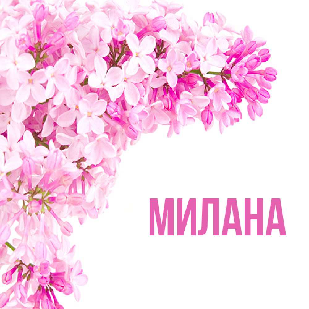 Открытка  с именем. Милана, Главная  